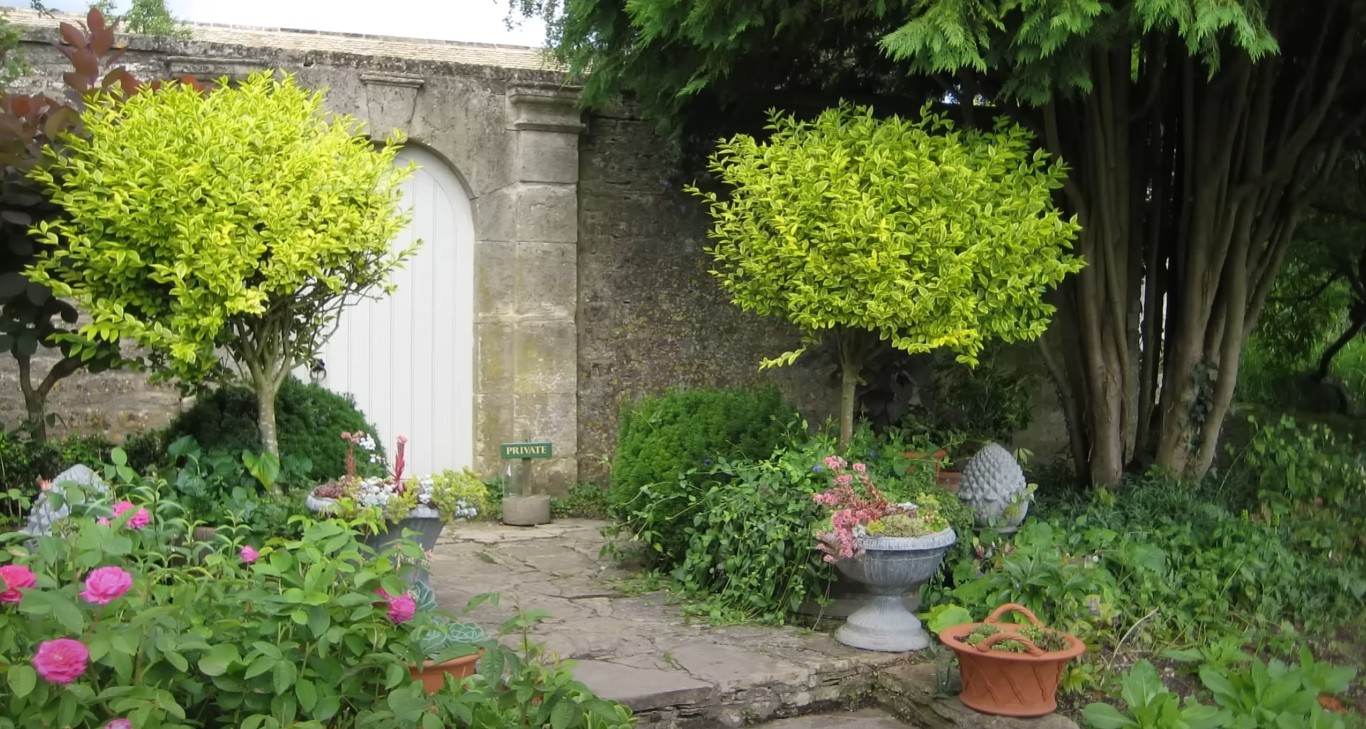 Elegant garden pathway with archway and colorful flowers in Oakley, CA